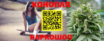 прущие грибы Жуковский